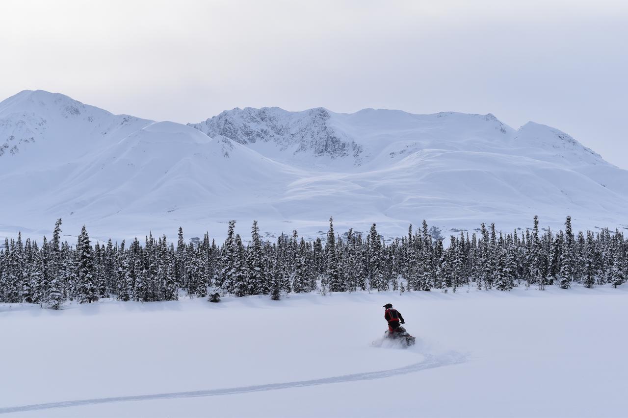 Backwoods Lodge Cantwell Eksteriør billede